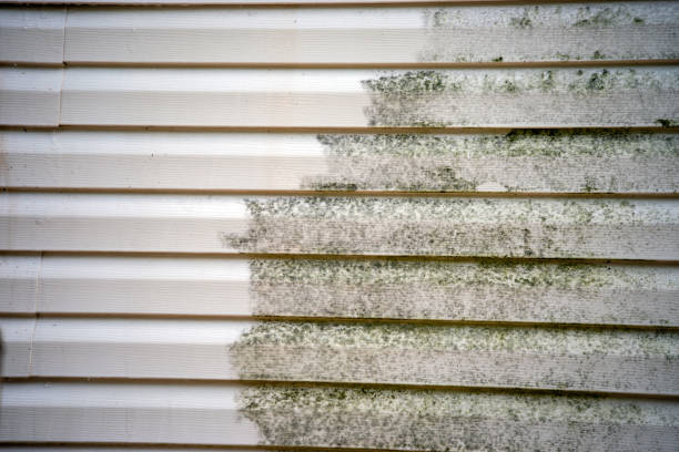 Best Dumpster Rental Services  in Colfax, WI