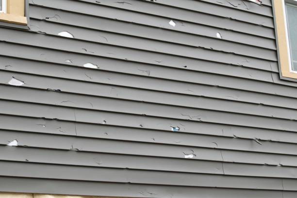 Best Basement Cleanout  in Colfax, WI